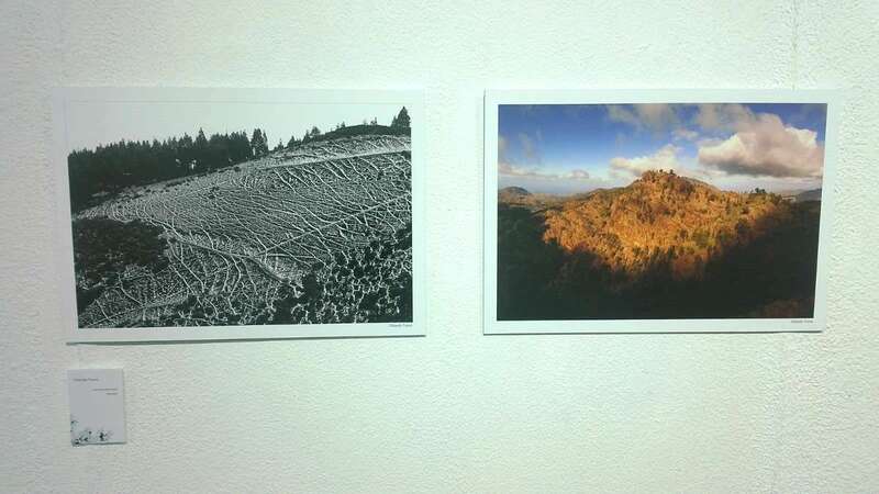 Dos de las fotografías de la exposición (Foto TA)